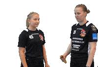 Floorball Salibandy Sticker by F-liiga