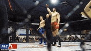 Lets Go Fight GIF by New Line Cagefighting
