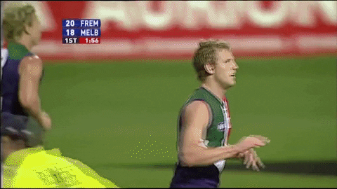 freodockers giphyupload fremantle dockers freo GIF