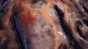 Monster Kaiju GIF by GigaBash
