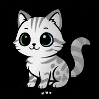 Cat Love GIF