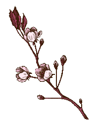 Millie Bobby Brown Costume Sticker by NETFLIX