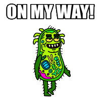 Lets Go Running Sticker by herbertonic