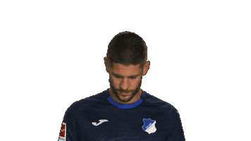 Look Up Tsg Hoffenheim Sticker by Bundesliga