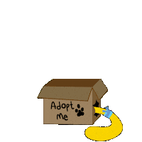 Nanieko Drip Sticker