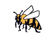 Nektar Sumsumsum Sticker