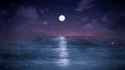 coldplay girl life sea sky GIF