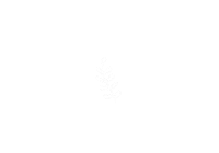 Flower Grow Sticker