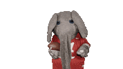 Alabama Football Sticker by The University of Alabama