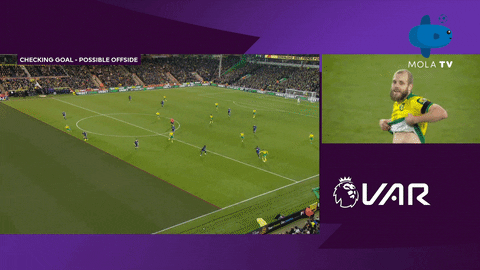 Norwichcity GIF by MolaTV