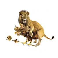pravdabeer love lion eagle lviv Sticker
