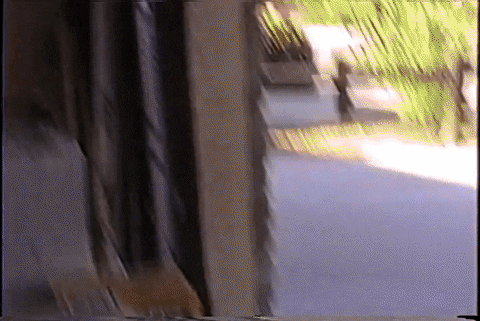Patrick_Healy giphyupload GIF
