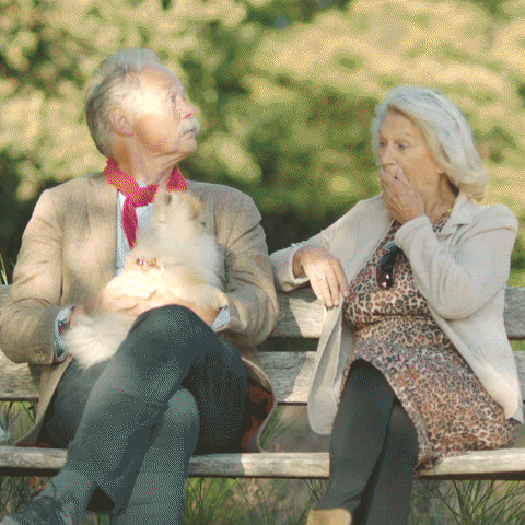 Hello GIF by Videoland