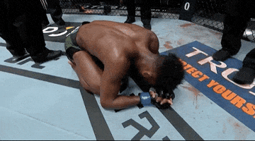 Aljamain Sterling Sport GIF by UFC