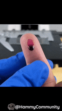 Heart Blood GIF by Sad Hamster