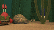 Kamp Koral GIF by SpongeBob SquarePants