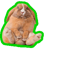 No Thank You Wow Sticker by Alfred A. Knopf