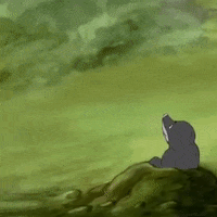 vrt bos nostalgie dieren beestenbosisboos GIF