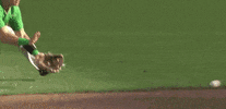 Notre Dame Baseball GIF by NCAA Championships