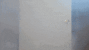 Sport Baseball GIF by The Savannah Bananas