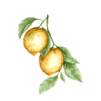 Lemon Tree Italy Sticker by Very Wonder