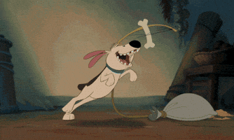 Little Brother Dog GIF by Disney