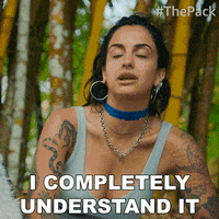 The Pack Dog GIF by Amazon Prime Video