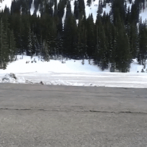 See Ya Goodbye GIF by Pit Viper