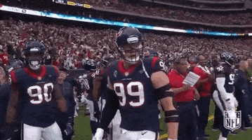 2018 nfl football GIF by NFL