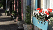 Digital-Ignite charleston chs southcarolina GIF