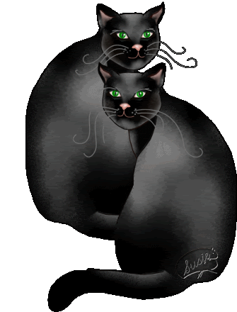 black cat STICKER