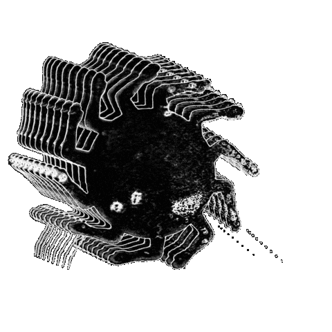 New Album Logo Sticker by JMSN