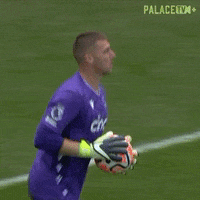 Save Crystal Palace GIF by Crystal Palace Football Club