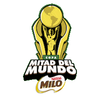 Soccer Futbol Sticker by INDEPENDIENTE DEL VALLE