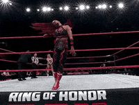 Red Velvet Roh GIF