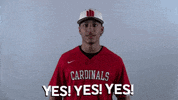 Wheelingu GIF by WU Cardinals
