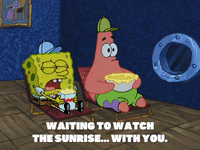 season 5 to love a patty GIF by SpongeBob SquarePants