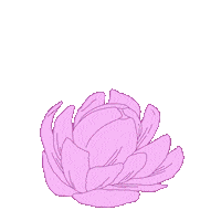 Pink Flower Sticker by Bath & Body Works