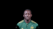 portland timbers thumbs up GIF by Timbers