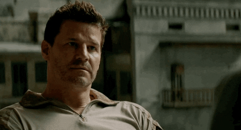 david boreanaz drama GIF by CBS