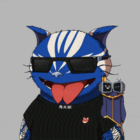 Cat Love GIF by Kitaro World