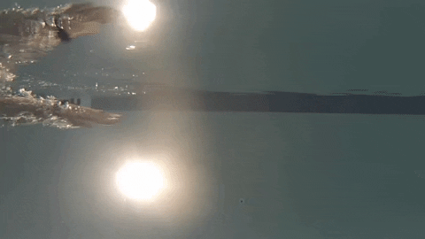 kevinarmentrout giphygifmaker GIF