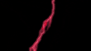 riverplategames riverplate vamosriver riverplategaming riverplategames GIF