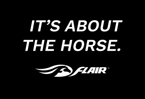 AchieveEquine giphygifmaker flair breatheeasy itsaboutthehorse GIF
