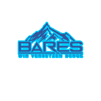 BARESSiersleben truck hill berge lkw Sticker