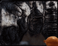 Loop Will GIF by Alex Boya