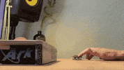 Skating Music Video GIF by Refresh Records