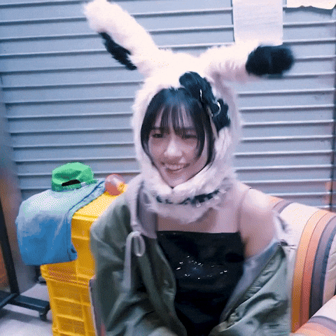 K Pop Bunny GIF