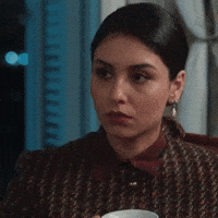 Rojbinerden GIF