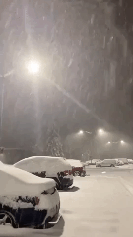 Heavy Snow Covers Cars in Fairbanks, Alaska